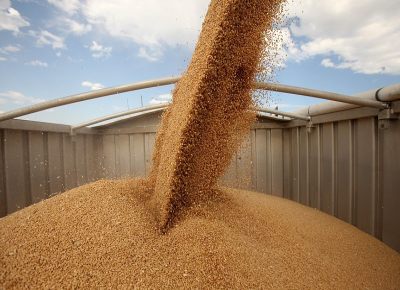 Условия перевозки зерна